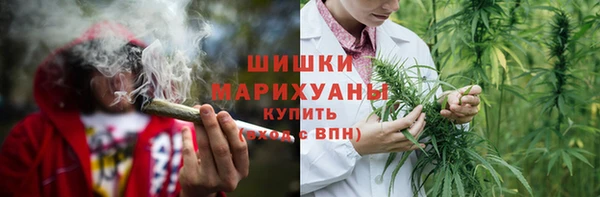 шишки Арсеньев