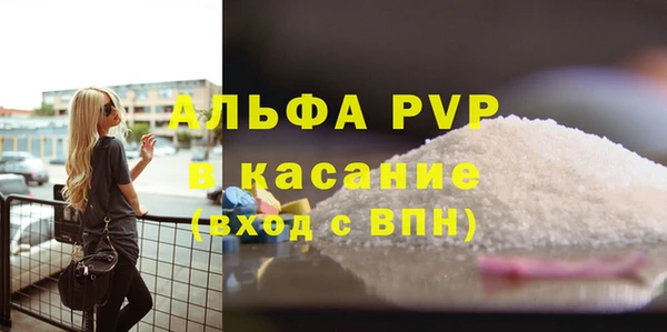 шишки Арсеньев