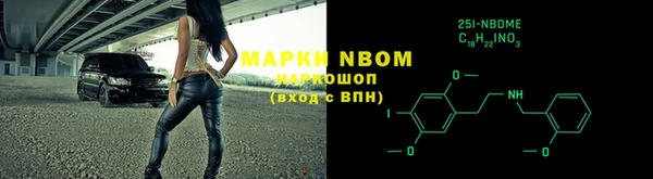 шишки Арсеньев