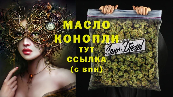 шишки Арсеньев