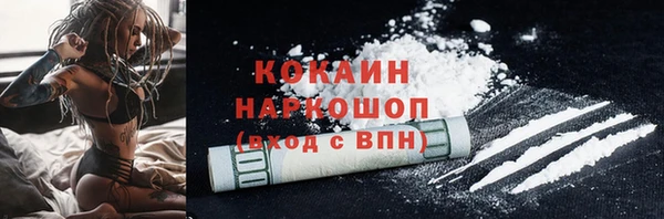 шишки Арсеньев