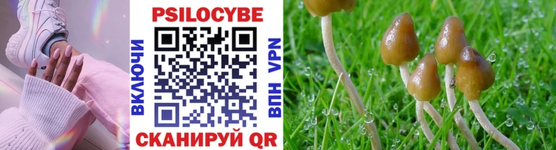 Галлюциногенные грибы GOLDEN TEACHER  Купить закладки  Стародуб 